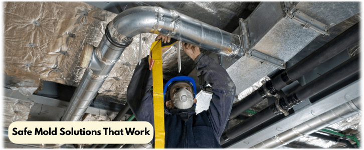 Air Duct Mold Removal in Pearland