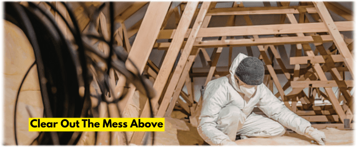 Attic Cleaning Pearland