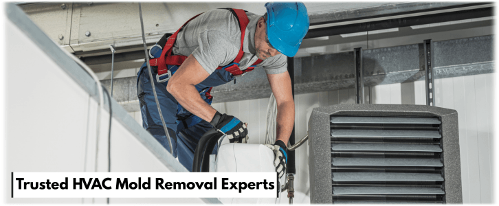 HVAC Mold Removal Pearland